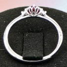 Circulus Seraphine thumbnail