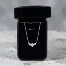 Faucium Princess thumbnail